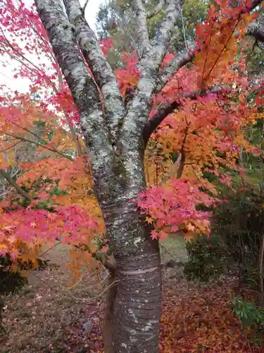 大神神社(奈良県)