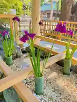 和泉國一之宮 大鳥大社の手水舎