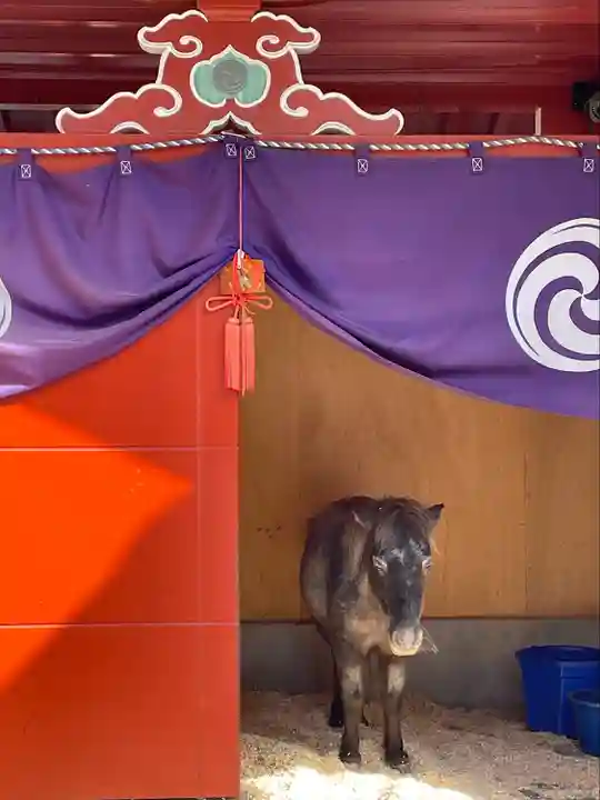 神田神社(神田明神)の動物
