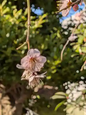 瑞円寺(東京都)