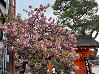 金剛寺（八坂庚申堂）(京都府)