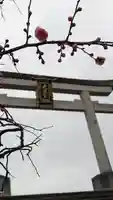 長岡天満宮(京都府)