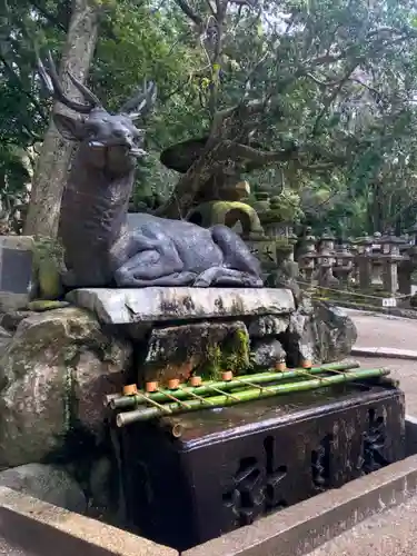 春日大社の手水舎