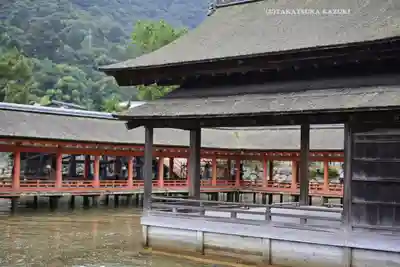 厳島神社(広島県)