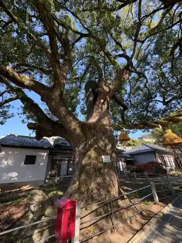 山王神社(長崎県)
