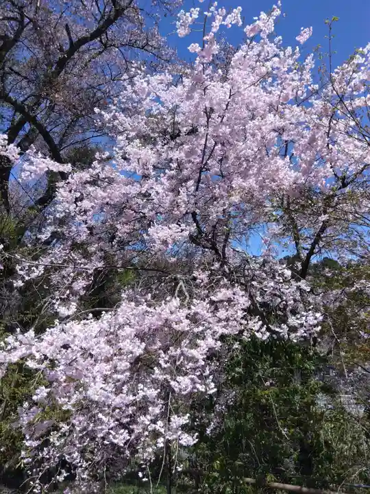 三明院(京都府)