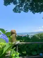 雲昌寺の{uncategorized: "未分類", other: "その他", undefined: "問題あり", building: "その他建物", grave: "お墓", sacred_gate: "鳥居", guardian: "狛犬", statue: "像", buddha: "仏像", history: "歴史", nature: "自然", garden: "庭園", animal: "動物", pagoda: "塔", temizu: "手水舎", mountain_gate: "山門・神門", sanctuary: "本殿・本堂", subordinate: "末社・摂社", art: "芸術", scenery: "景色", jizo: "地蔵", ema: "絵馬", goshuin: "御朱印", omikuji: "おみくじ", items: "授与品その他", amulet: "お守り", goshuincho: "御朱印帳", eats: "食事", festival: "お祭り", votive_dance: "神楽", shichigosan: "七五三参", wedding: "結婚式", experience: "体験その他", initially: "初詣", around: "周辺", anti_infection: "感染症対策"}