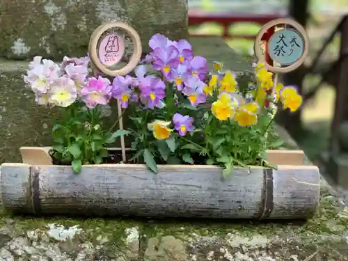 須山浅間神社の庭園