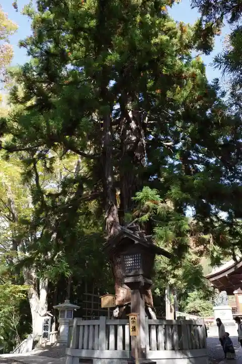 諏訪大社下社秋宮のその他建物