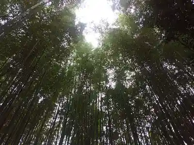 隨心院(随心院)(京都府)