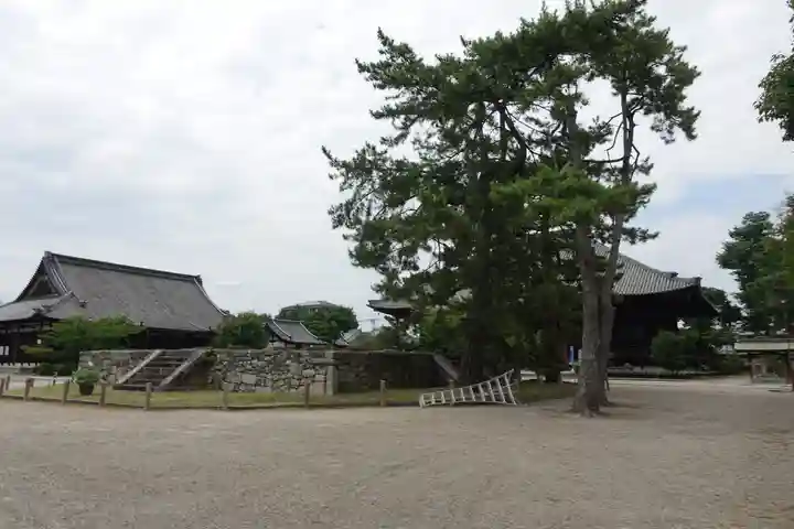 西大寺のその他建物