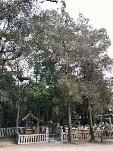 伊弉諾神宮(兵庫県)