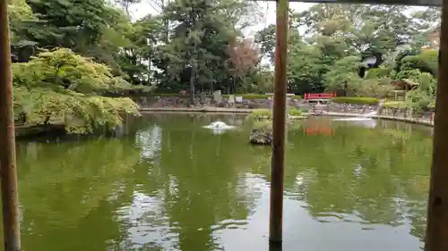 越ヶ谷久伊豆神社の庭園