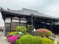 大信寺(滋賀県)