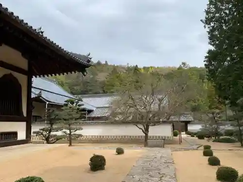 曹源寺の庭園