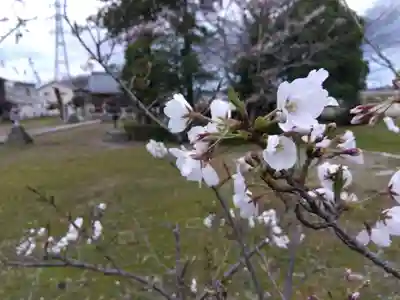 日吉神社(福井県)