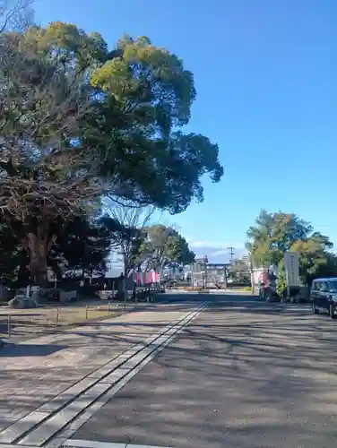岐阜護國神社(岐阜県)
