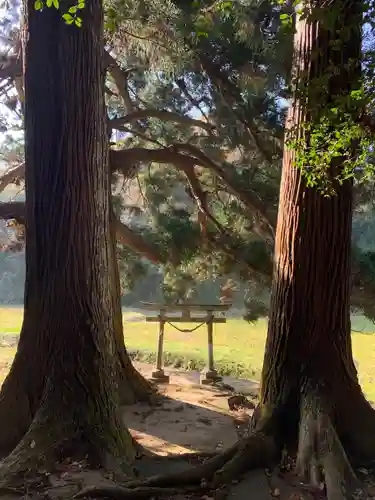 妙見神社の鳥居