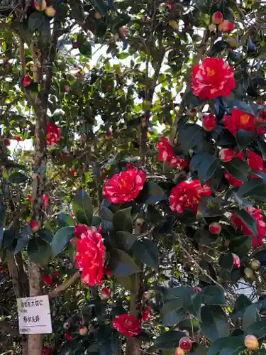境香取神社の自然