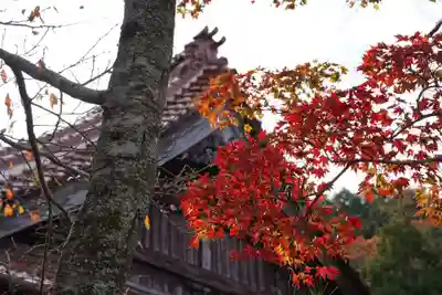来迎寺(山口県)