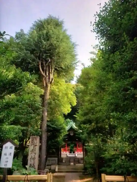 白金氷川神社(東京都)