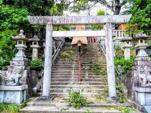 有松天満社の鳥居