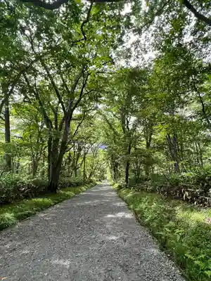 戸隠神社奥社(長野県)