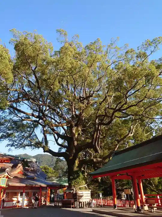 熊野那智大社の自然