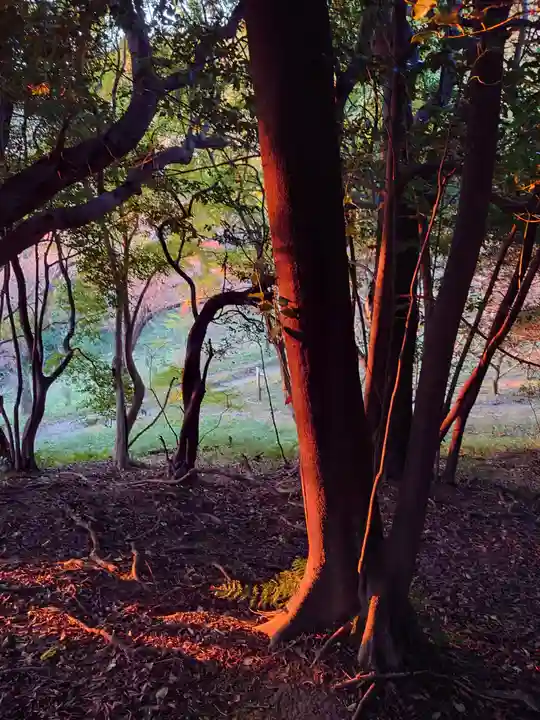保久良神社(兵庫県)