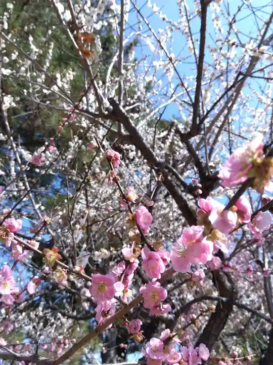 本居宣長ノ宮(三重県)