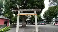日吉浅間神社の鳥居