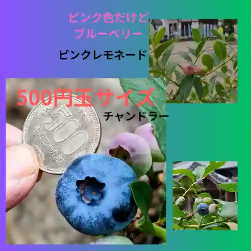 全忠寺(愛知県)