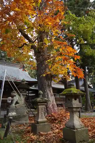 蠶養國神社の自然