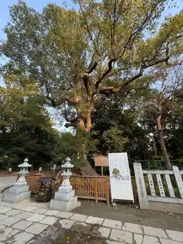 和泉國一之宮　大鳥大社(大阪府)