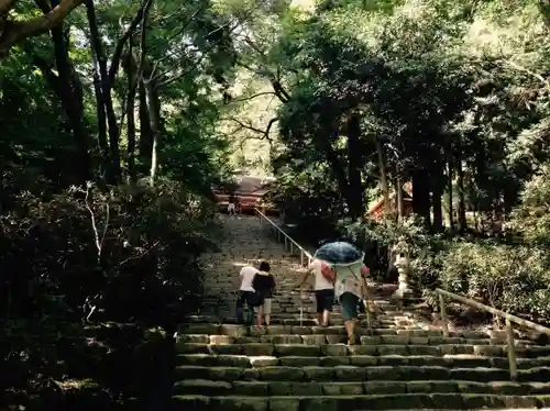 室生寺の建物その他