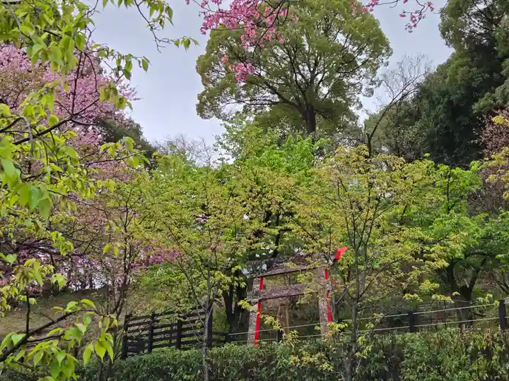 曽我浅間神社(静岡県)