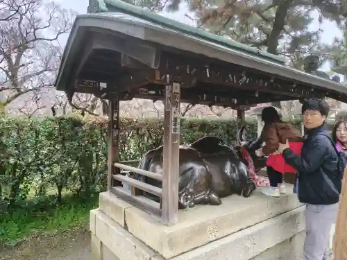 北野天満宮の{uncategorized: "未分類", other: "その他", undefined: "問題あり", building: "その他建物", grave: "お墓", sacred_gate: "鳥居", guardian: "狛犬", statue: "像", buddha: "仏像", history: "歴史", nature: "自然", garden: "庭園", animal: "動物", pagoda: "塔", temizu: "手水舎", mountain_gate: "山門・神門", sanctuary: "本殿・本堂", subordinate: "末社・摂社", art: "芸術", scenery: "景色", jizo: "地蔵", ema: "絵馬", goshuin: "御朱印", omikuji: "おみくじ", items: "授与品その他", amulet: "お守り", goshuincho: "御朱印帳", eats: "食事", festival: "お祭り", votive_dance: "神楽", shichigosan: "七五三参", wedding: "結婚式", experience: "体験その他", initially: "初詣", around: "周辺", anti_infection: "感染症対策"}