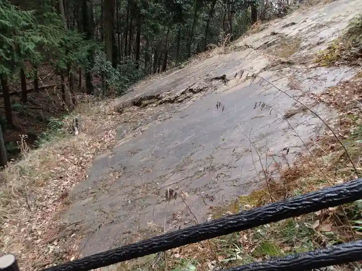 武蔵二宮 金鑚神社の自然