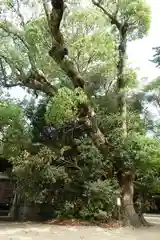 白鳥神社(香川県)