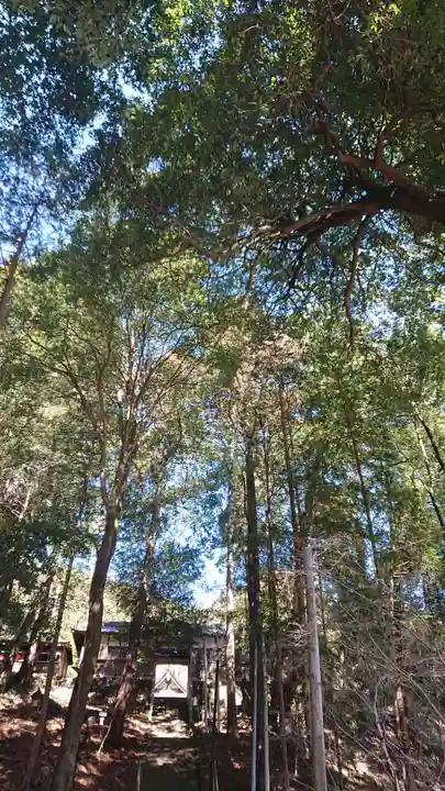 村檜神社(栃木県)