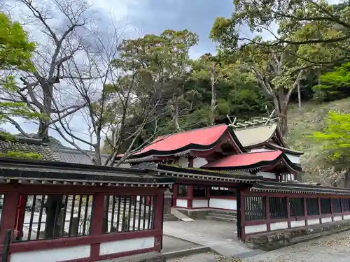 鹿児島神社(鹿児島県)