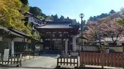 岡寺(龍蓋寺)(奈良県)