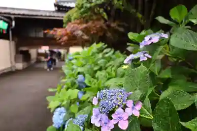 白山神社(東京都)