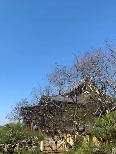 くろ谷 金戒光明寺のその他建物