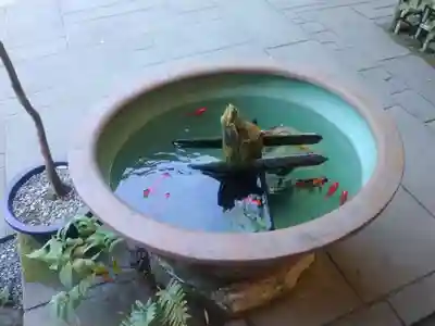 報国寺(神奈川県)