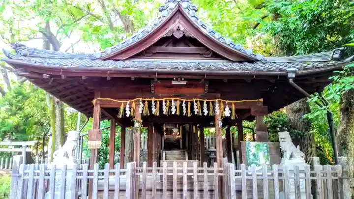 白山神社(大須白山神社)の本殿・本堂