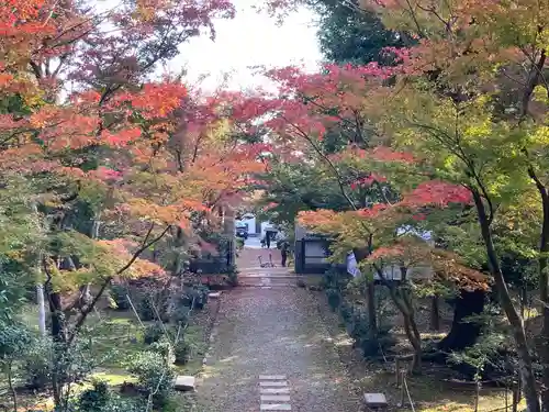 浄住寺(京都府)