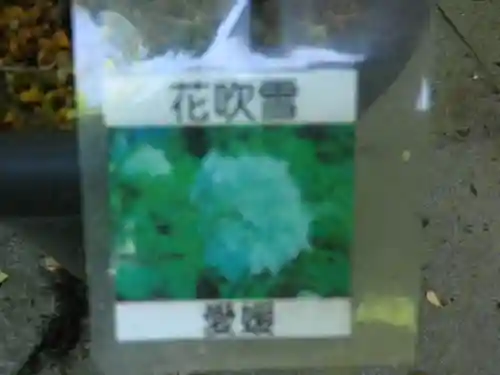 光則寺のその他建物