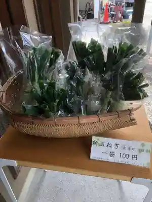 生路山 常照寺の御朱印