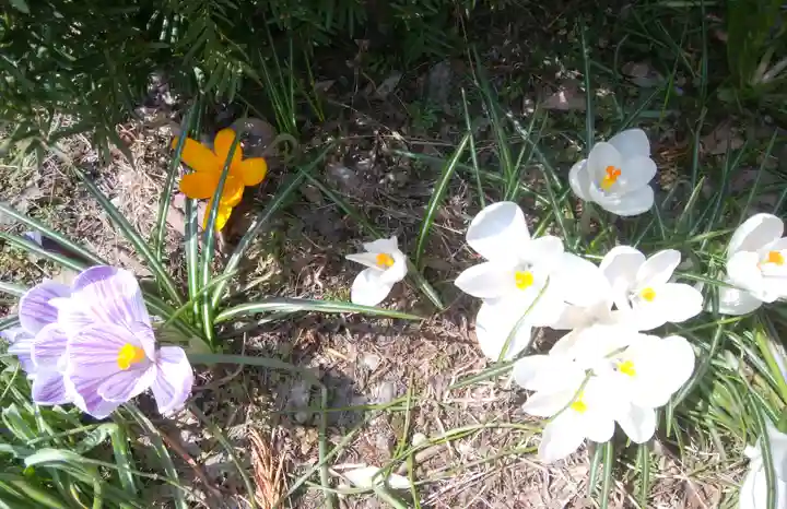 三吉神社の周辺